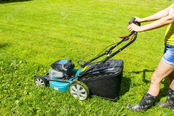 Things To Consider When Choosing The Right Lawn Mowing Equipment