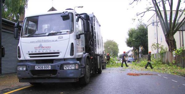 Know About The Importance Of Tree Surgeons In Brentwood